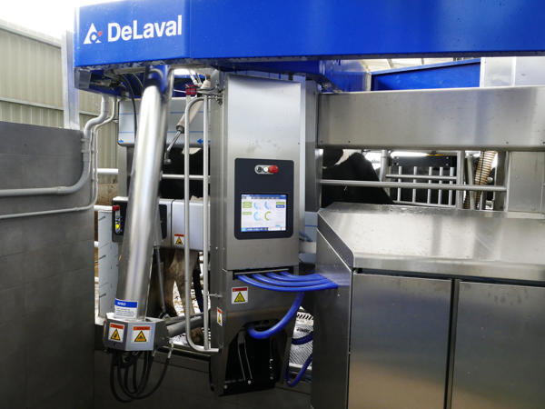 ganaderos delaval granja xacobe robots de ordeño