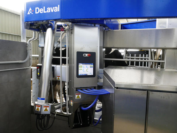 ganaderos delaval granja xacobe robots de ordeño ganaderos delaval granja xacobe robots de ordeño
