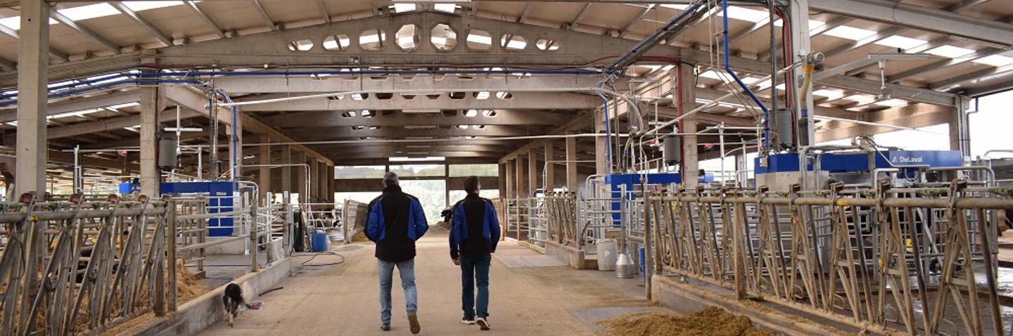 ganaderos delaval 