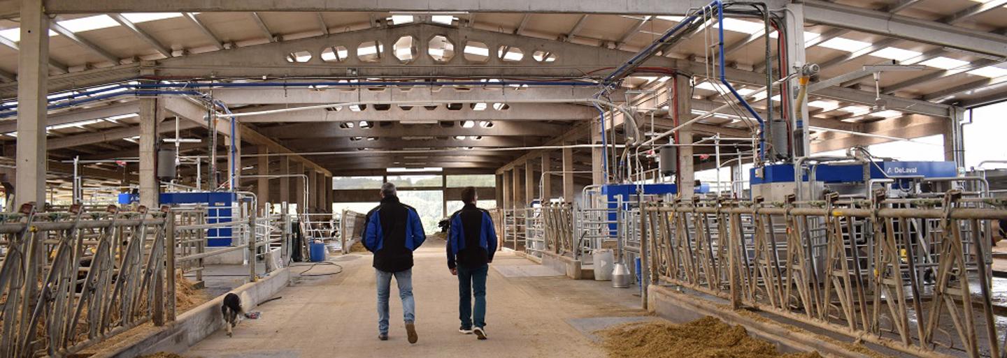 ganaderos delaval 
