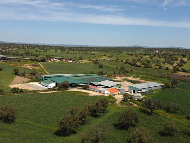 granja de vacas la ciguñuela