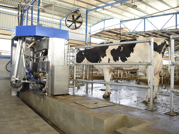 robot de ordeño granja de vacas delaval vms la ciguñuela 