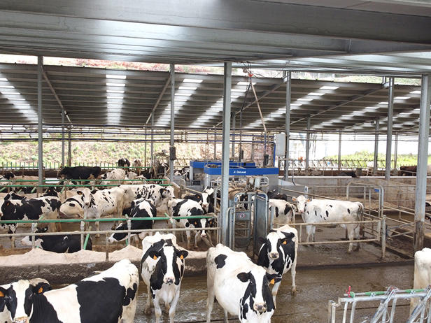 Ganaderos-delaval-lopez-zolle-robot-ordeño-vacas