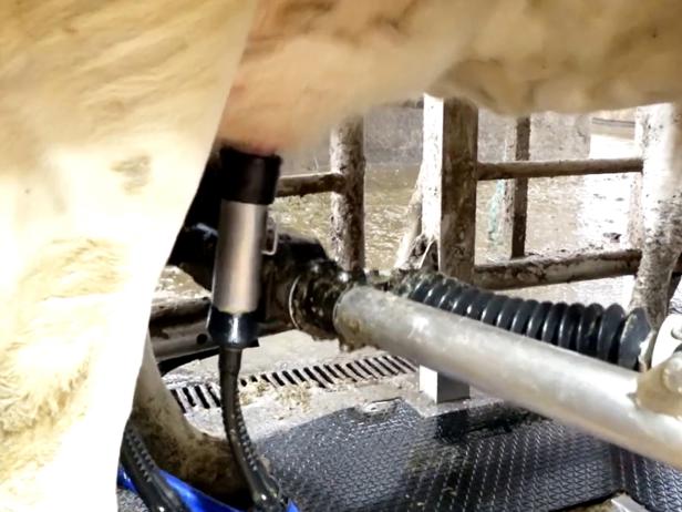 ganaderos DeLaval ganadería sat regueiro robot de ordeño