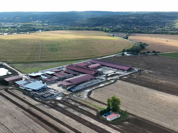 dron ganaderos DeLaval ganadería sat rote