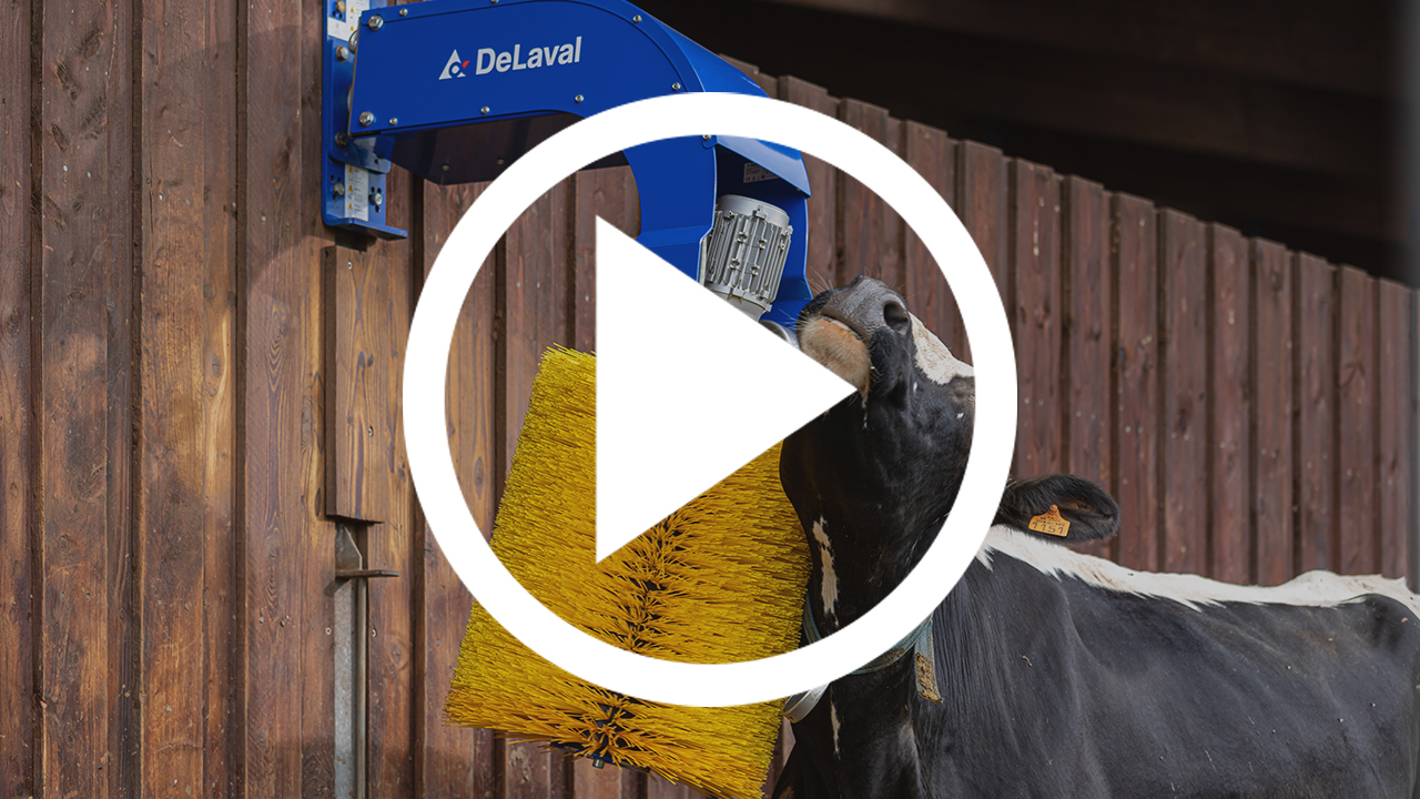 1280x720-delaval-cepillo-play.jpg