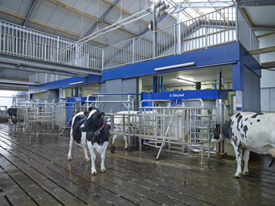 robots de ordeño Batch milking delaval robots de ordeño Batch milking delaval