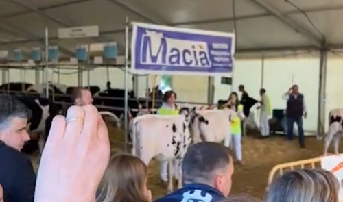 DeLaval-Campllong.PNG