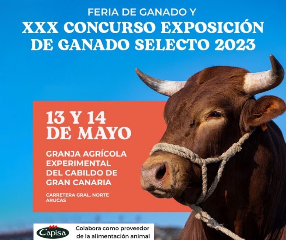 feria-gran-canaria-2023-capisa.jpg
