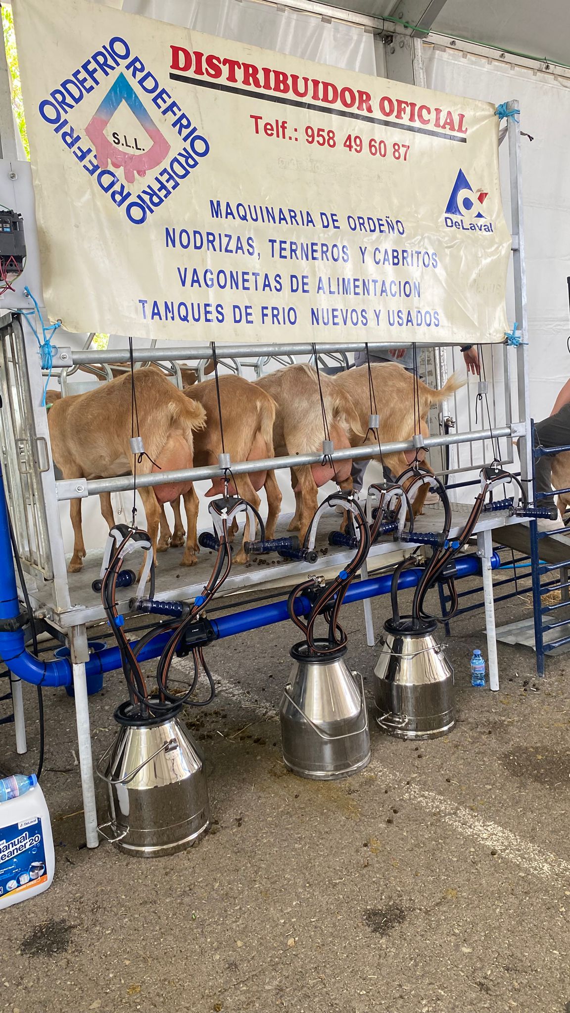 agrogrant 2025 participación delaval 