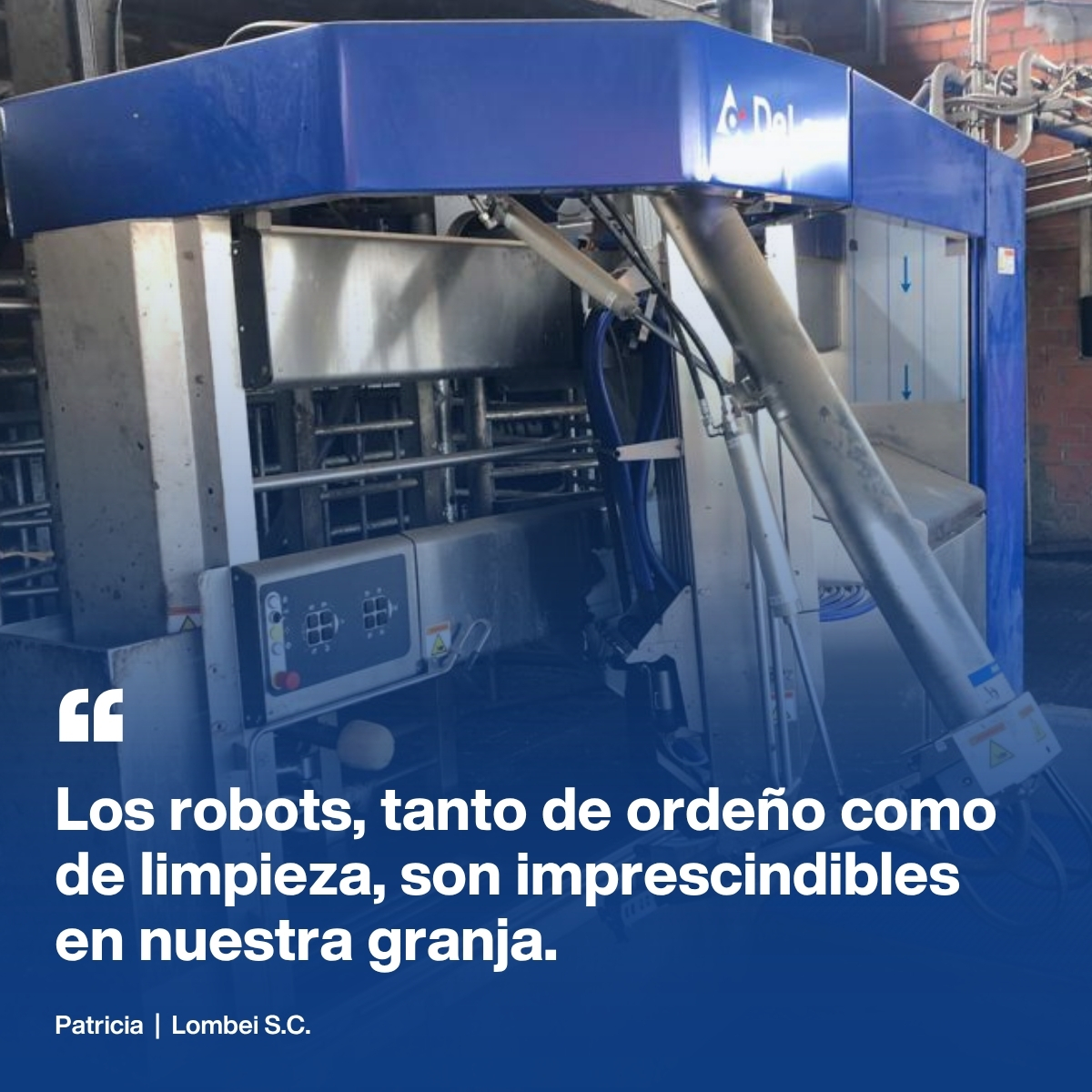 Lombei testimonio delaval
