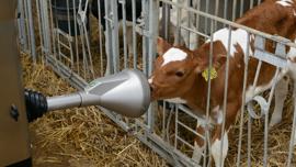 CalfRail CFR100 de DeLaval