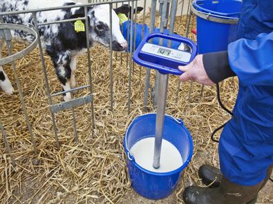 calentador leche terneras