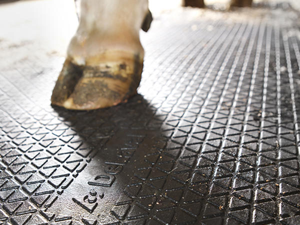 Cubierta de Goma DeLaval R18P