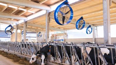 ventilador-delaval-ddf1500