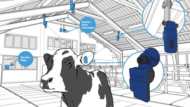 delaval-plus-analisis-de-comportamiento-accesorios