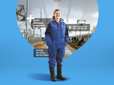 delaval-plus-analisis-de-comprotamiento