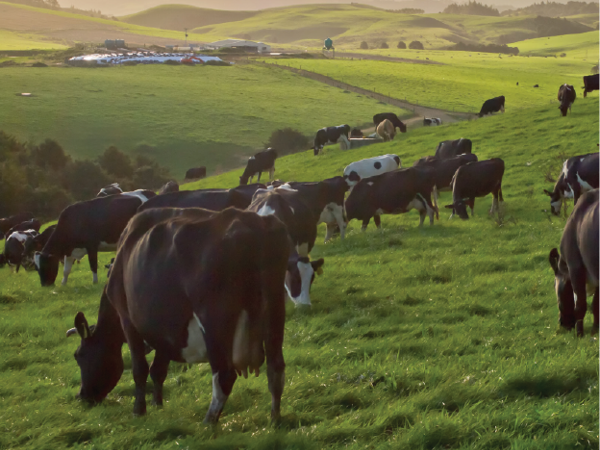 Biomodelos de delaval delpro Biomodelos de delaval delpro