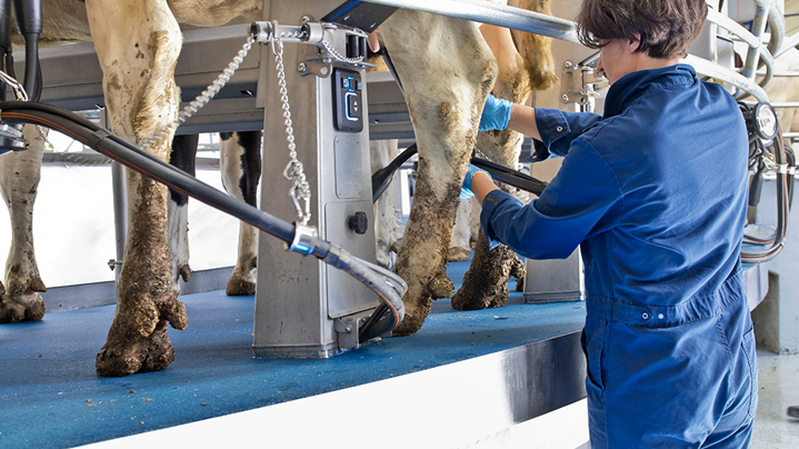 DeLaval-think-big-grandes-rebaños-E300