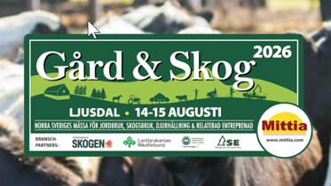 Mittia Gård och Skogs logga inför 14-15 augusti 2026