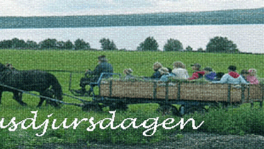 Arbetshäst med vagn som körs ute på ett fält.