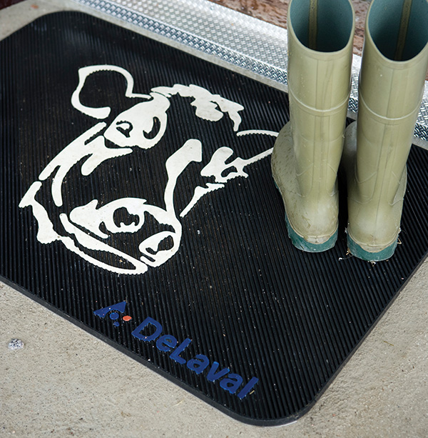 Doormat_cow.jpg