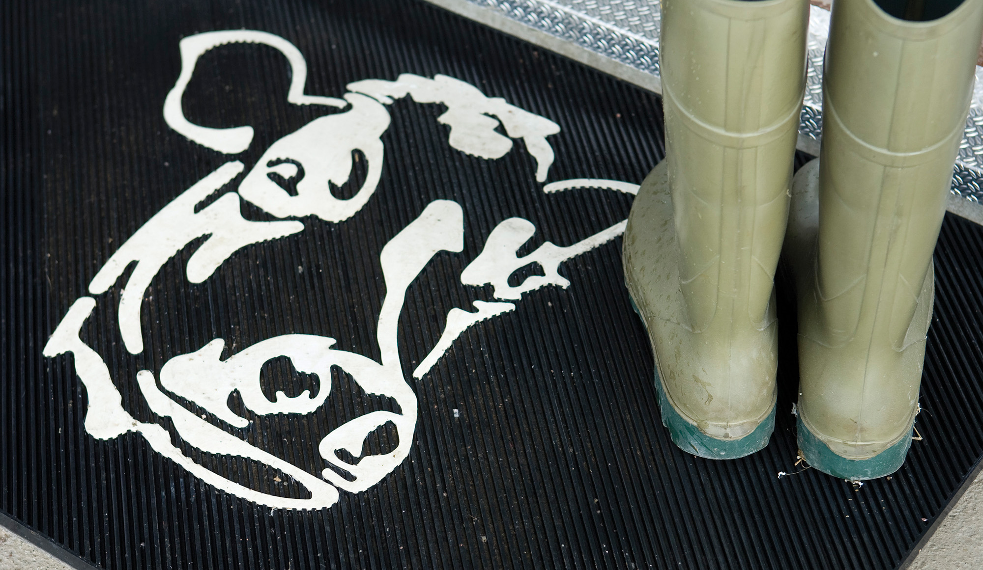 Doormat_cow_hero.jpg