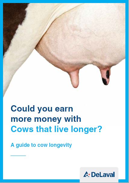 cow longevity booklet cover image.JPG