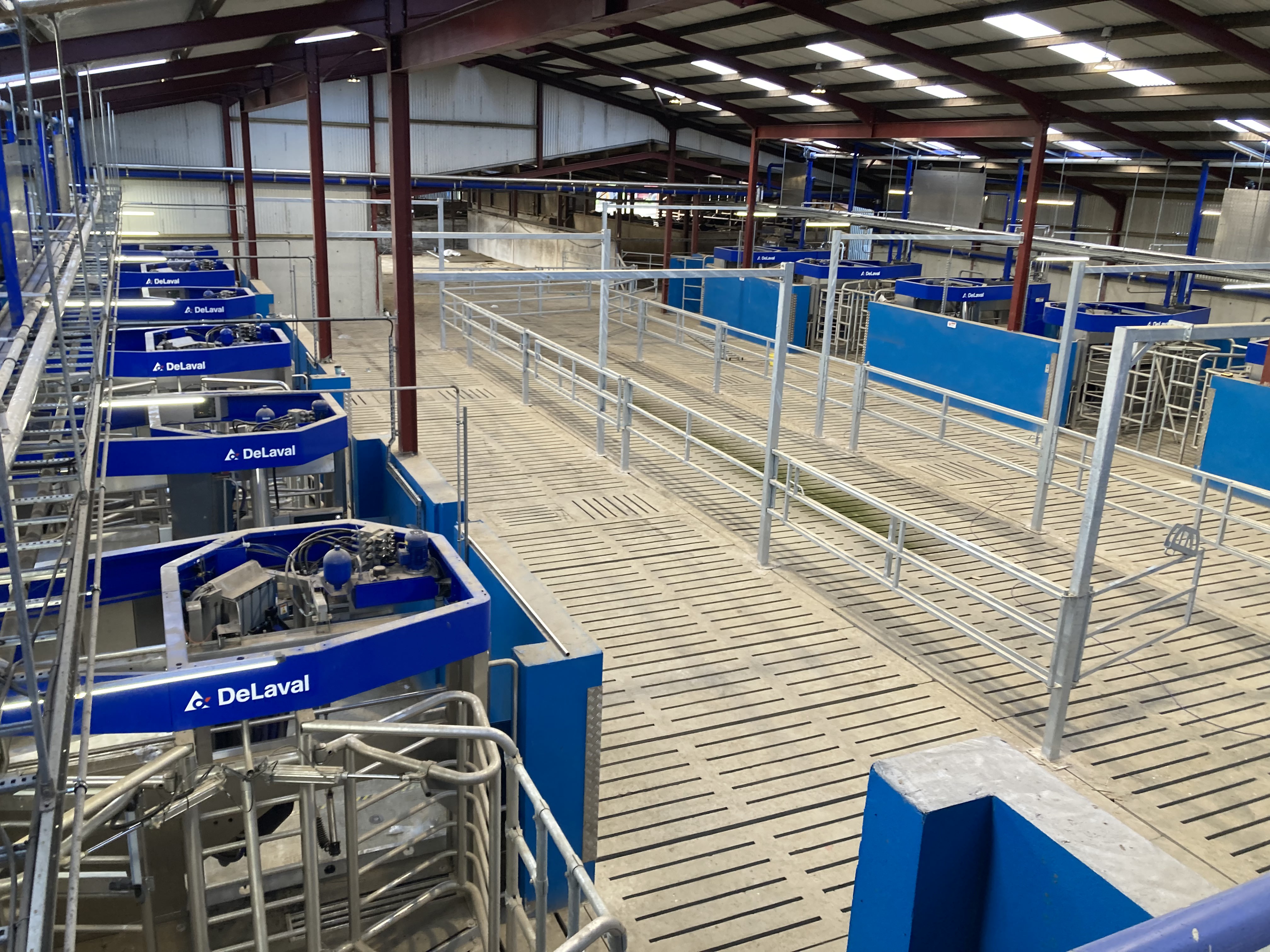 VMS Batch Milking project
