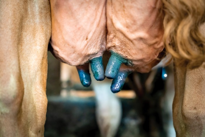 DeLaval_Hygiene_TSERDET_AGTRACKS-01783_edit.jpg