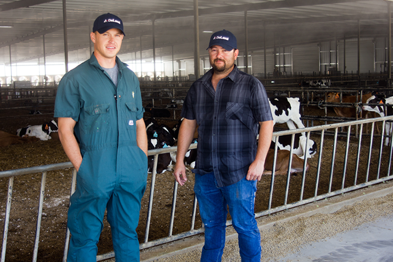 DeLaval calf feeder CF1000S DeLaval