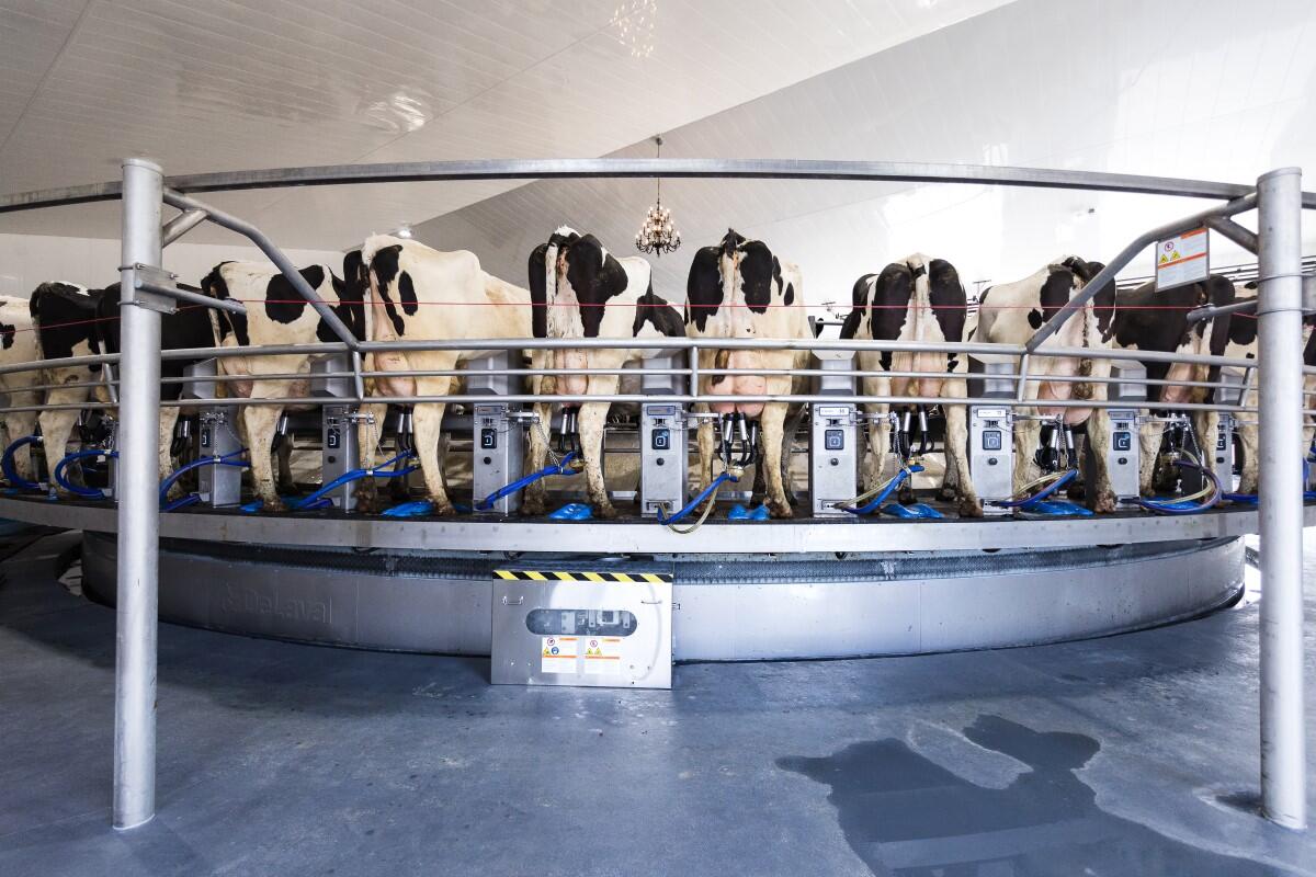 DeLaval Rotary E500 wins 2023 AgTech Breakthrough Awards - DeLaval